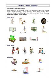 English Worksheet: Sport general vocabulary