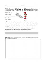 English Worksheet: Colored Celery Experiment