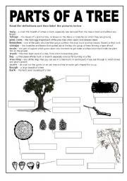 a black and white worksheet about the parts of a tree