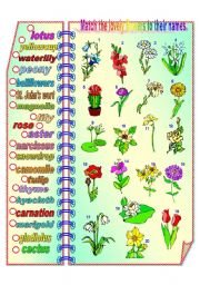 Lovely Flowers - matching activity **fully editable