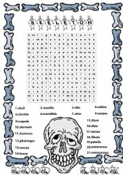 Human skeleton - ESL worksheet by Mariola PdD