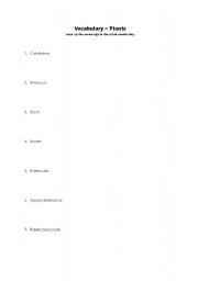 English Worksheet: Vocabulary ~ Plants