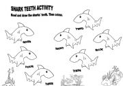 Shark teeth activity