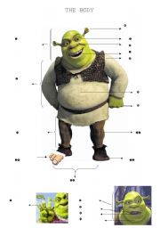 English Worksheet: The Body (Shrek)