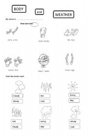 English Worksheet: body and weather