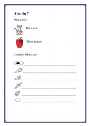 English Worksheet: the article