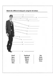 English Worksheet: Match the different body parts