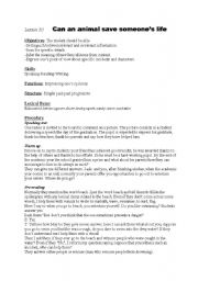 lesson plan for lesson 30 1st year tunisian pupils