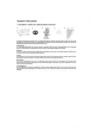 English Worksheet: Worksheet for St. Patricks Day