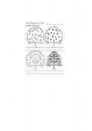 English Worksheet: the 4 seasons