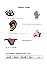 English Worksheet: senses