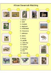 English Worksheet: African Savannah Matching