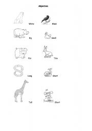 English worksheet: ADJECTIVES