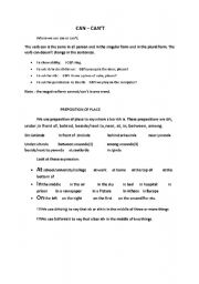 English Worksheet: can can t
