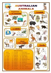 Australian animals, a labelling worksheet (fully editable)