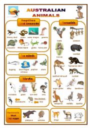 Australian animals: a pictionary (fully editable)