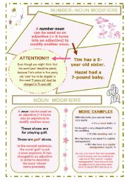 GRAMMAR POSTER / HANDOUT ON NOUN MODIFIERS PLUS WORKSHEET WITH 4 EXERCISES; 5 PAGES; B&W SHEETS AND KEY INCLUDED