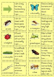 English Worksheet: Insects Dominoes Part 1