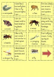 Insects Dominoes Part  2