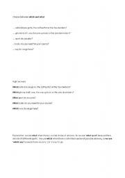 English Worksheet: who what which that whom whose