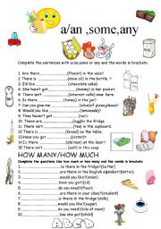 English Worksheet: a/an,some,any,how many,how much