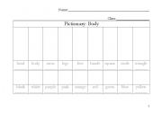 English Worksheet: Body pictionary