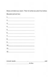 English worksheet: Draw , label and write about a plant and seed