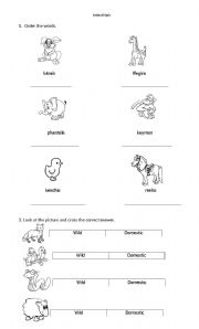English worksheet: animal quiz