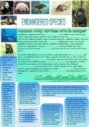 Endangered species - the sea turtle - fill-in exercise