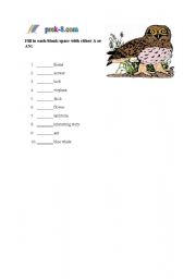 English worksheet: Articles Worksheet