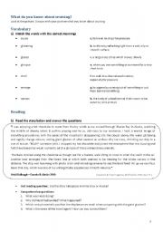 English Worksheet: Reading Comprehension_Unforgettable experience