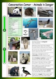 English Worksheet: Conversation Corner: Animals in Danger