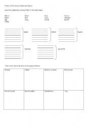 English worksheet: Parts of the body (face)