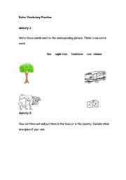 English worksheet: City vs Town