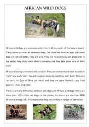 English Worksheet: African Wild Dogs - Reading Comprehension