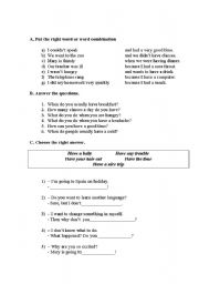 English Worksheet: To Have