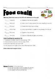 English Worksheet: Food Chain Assessment