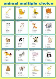 English Worksheet: animals (multiple choice)