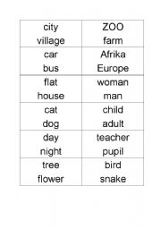 English Worksheet: opposites