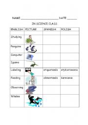 English worksheet: in the science room