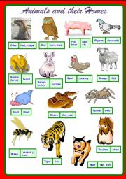 Animals and their homes Part 2/2 **fully editable
