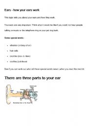 English Worksheet: How the ear works