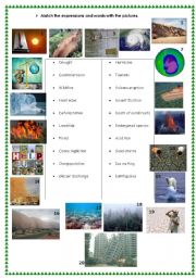 English Worksheet: ecological disasters and global warming