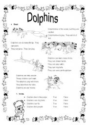 Reading Dolphins (can - cant)