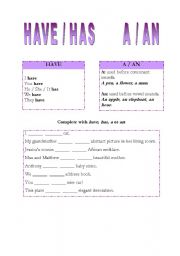 English Worksheet: Have and Has / A and An