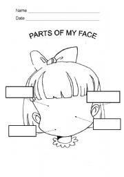 PARTS OF MY FACE