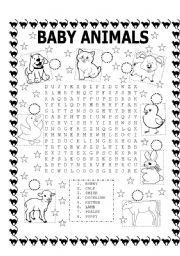 English Exercises: THE BABY ANIMALS