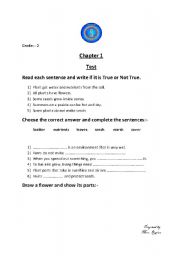 English worksheet: science worksheet