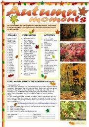 English Worksheet: Autumn moments