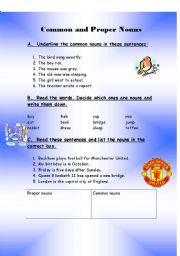 English Worksheet: Common and Proper Nouns